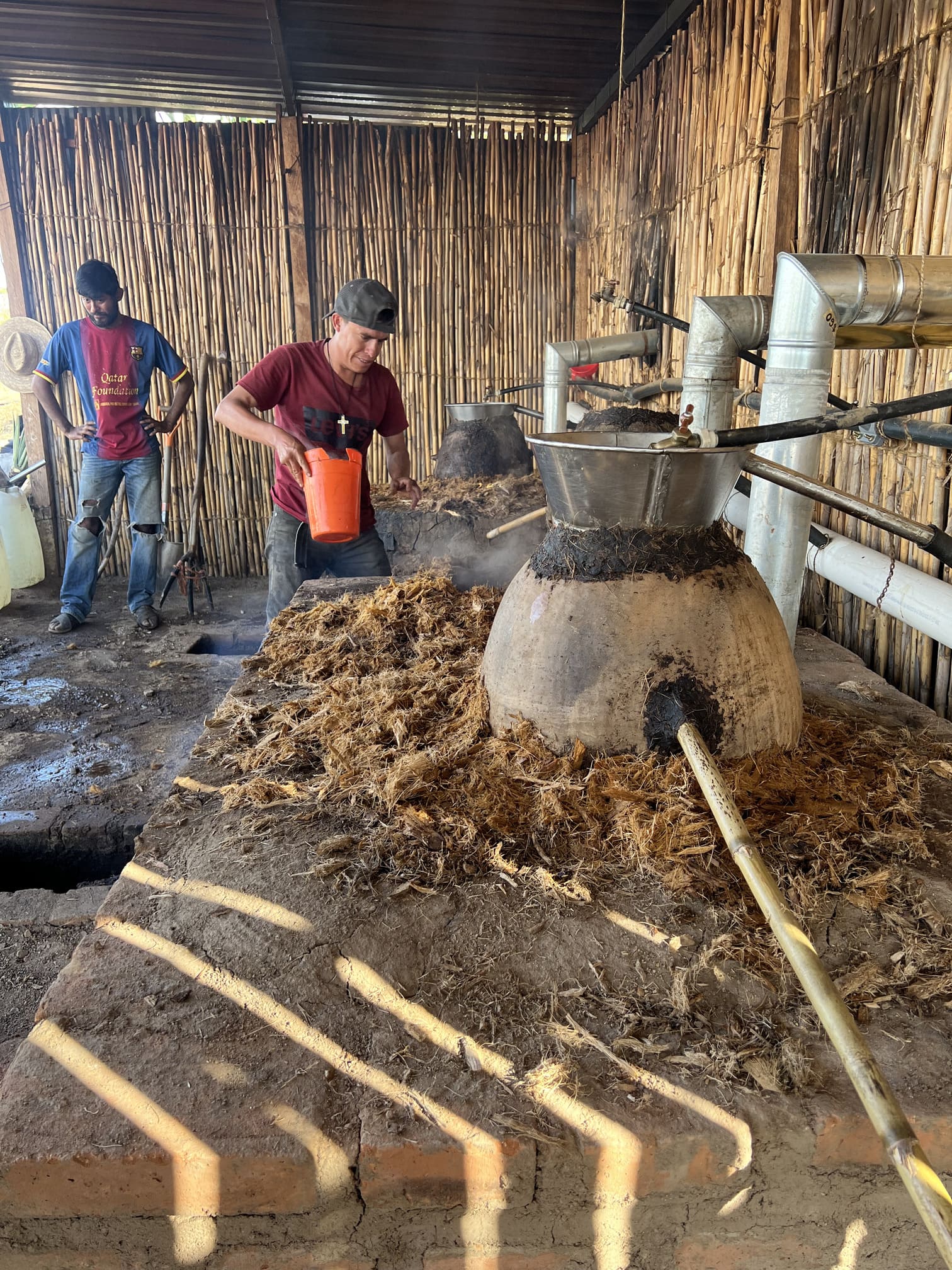 Image Alt